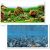 Fundal acvariu cu pesti peisaj natural 3D, 30×100cm