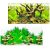 Fundal acvariu poster plante si radacini 50×100cm