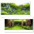 Fundal de acvariu 3D padure, stanci si vegetatie 100X80cm