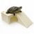 Insula mare bazin broasca testoasa platforma 28.5x21x8.5 cm