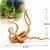 Lemn Red Moor ornament natural acvariu HW18