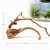 Lemn acvariu natural TW04