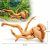 Lemn de Red Moor pentru acvariu LM03