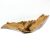 Lemn driftwood mangrove model W16