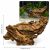 Lemn driftwood pentru acvariu model W14