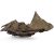 Lemn driftwood pentru pesti tropicali W12