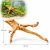Lemn natural acvariu LM02