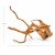 Lemn natural pentru acvariu LM06