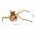 Ornamente lemn acvariu cu foto proprie TW07