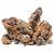 Piatra acvariu Dragonstone min.700-1200gr.