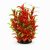 Plante rosii acvariu 18 cm Red Ludwigia