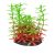 Plante de acvariu artificiale 8 cm Elodea rosu verde