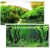 Poster acvariu dublu cu pesti si jungle 100X60cm