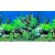 Poster acvariu plante acvatice si roci 3D 100X60cm