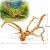 Radacina Red Moor acvariu cu foto proprie TW08