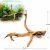 Radacina pentru acvariu Twity Wood Model TW28
