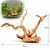 Radacini acvariu estetice Red Moor Wood RM13