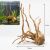 Radacini acvariu lemn natural TW13