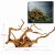Radacini acvariu tropical Red Moor Wood RM21