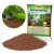 Substrat acvariu fertil Tetra Active Substrate 6L plante acvariu