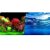 Tapet acvariu dublu Holland Scape si Ocean Blue 50 X 100 cm