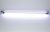 Lampa iluminare acvariu cu leduri 75 cm alba