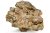 Roca acvariu Dragon Stone per bucata DS05