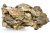 Roca acvariu Dragon Stone per bucata DS15