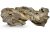 Roca acvariu Dragon Stone per bucata DS20