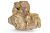 Dragonstone roca acvariu per bucata DS48