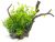 Plante artificiale acvariu decor realistic