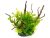 Plante plastic ornamentale acvariu cu Drift Wood