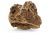 Roca pentru acvariu Maple Stone cu foto proprie model MP15