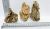 Set de 3 pietre Dragon Stone cod PDS2