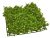 Plante acvariu usor de intretinut 26×26 cm