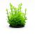 Plante mici artificiale acvariu 8 cm Bacopa