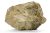 Pietre naturale acvariu Myanmar Petrified Wood per bucata model PW05