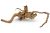 Radacini acvariu plantat Red Moor Wood RM09