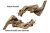 XXL21 Decor acvariu Drift Wood LARGE