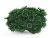Corali de acvariu Palythoa verde
