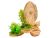 Decor acvariu stanci cu plante